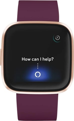 Fitbit versa 2 bordeaux deals