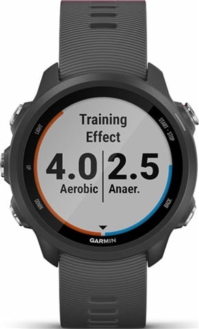Garmin Forerunner 245 Smartwatch Slate Gray, C CeX (IN): Buy